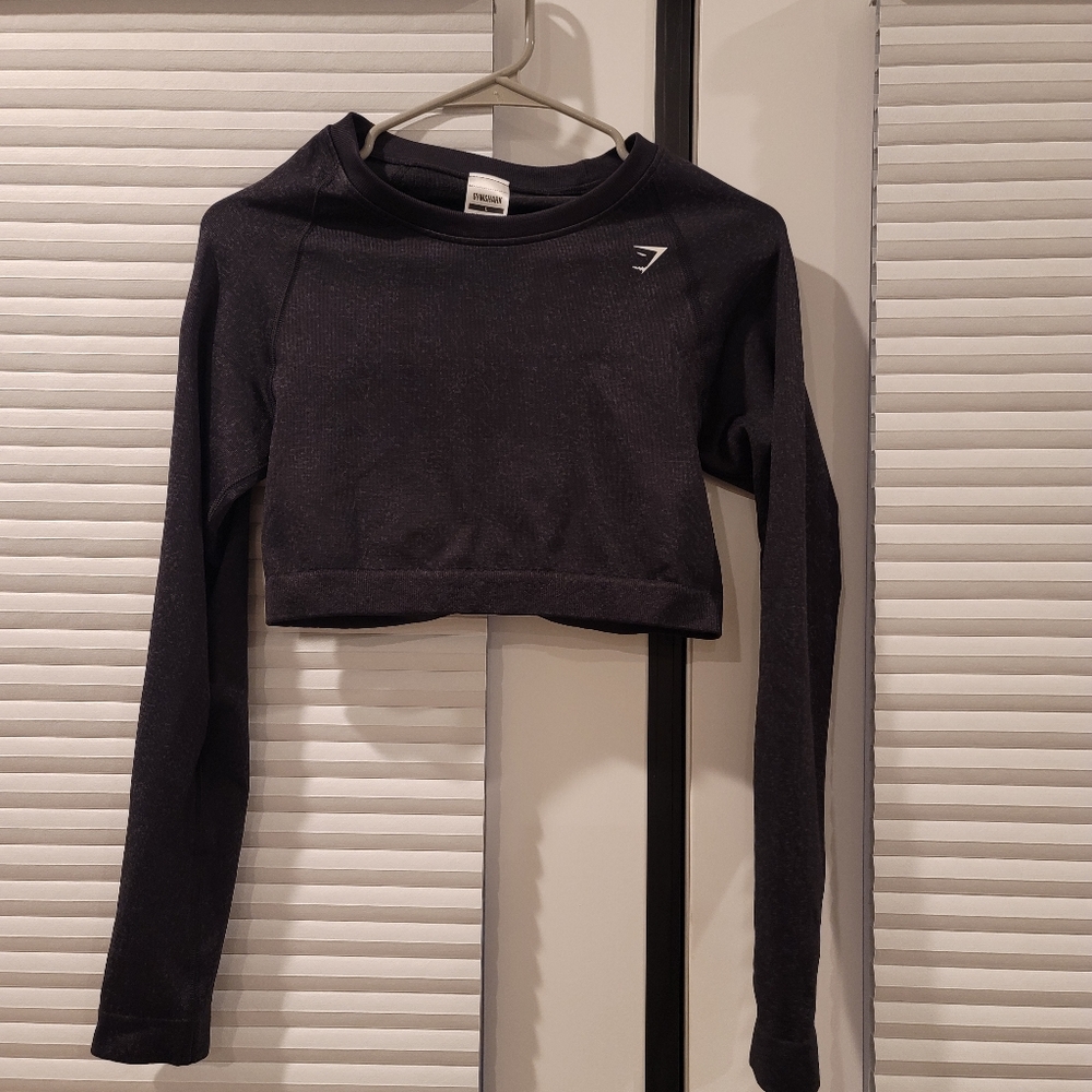 Seamless long sleeve workout Crop Top